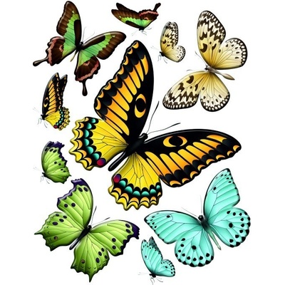 Ag Design F 1069 samolepicí dekorace na zeď Motýly rozměry 65x85cm