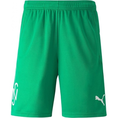 Puma NJR Copa Short Grün F07