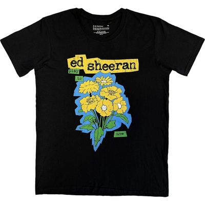Ed Sheeran Play Flowers