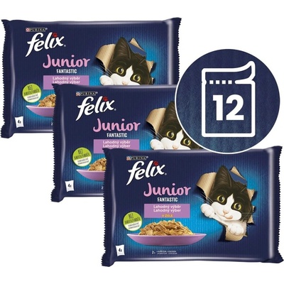 Felix Fantastic Junior kuře losos v želé 12 x 85 g