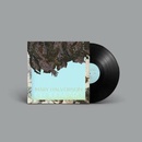 HALVORSON, MARY - CLOUDWARD LP
