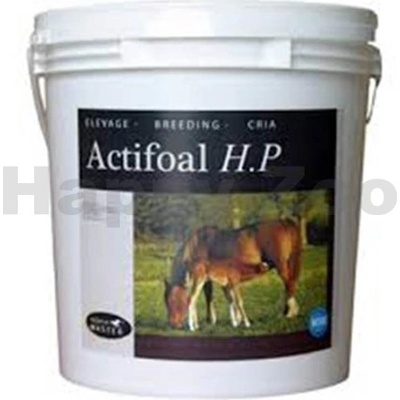 Horse Master Actifoal 20 kg