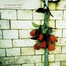 PINEAPPLE THIEF: VARIATIONS ON A -DIGI- CD