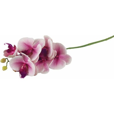 Umělá orchidej X4920-11 - 14 x 7 x 72 cm