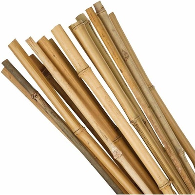 Tyč bambusová k rastlinám 1,5 m, 12-14 mm, 10 ks