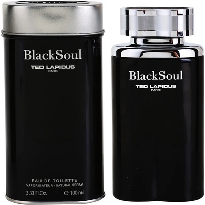 Ted Lapidus Black Soul toaletní voda pánská 100 ml