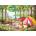 Pieces & Peace - Puzzle Camping Day - 500 piese