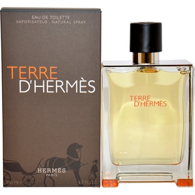 Hermès Terre D'Hermès toaletná voda pánska 200 ml