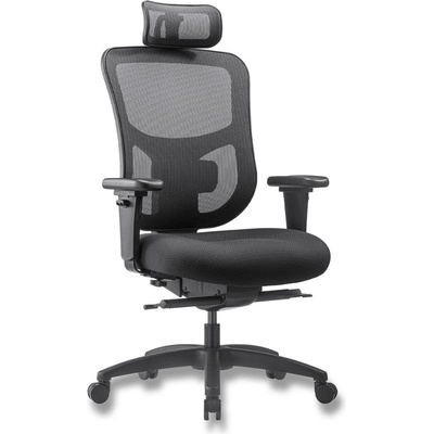 Office Pro Natus Q24