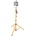 HOTECHE HT440262