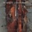 Mechanical symphony - In Strict Confidence CD