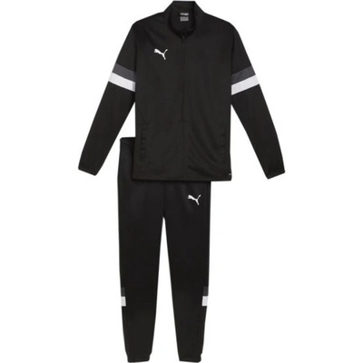 Puma Team Rise M tracksuit 658653 03 193698