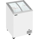 TEFCOLD IC101SCEB
