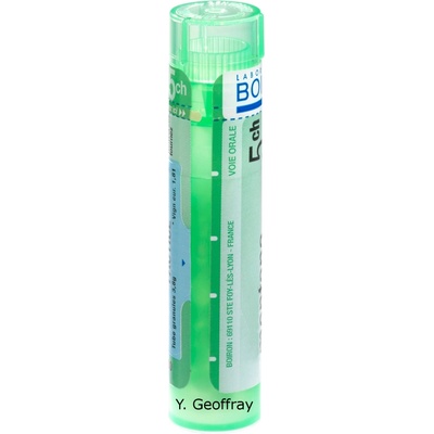 Avena Sativa gra.1 x 4 g 5CH