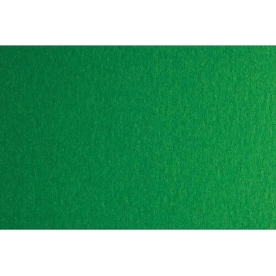 Fabriano Картон Colore, 70 x 100 cm, 140 g/m2, № 231, зелен (43303231/100_VERDE)