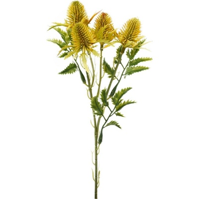 ZELEŇ ERYNGIUM-BODLIAK ŽLTÝ 27CM