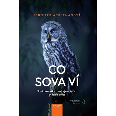 Co sova ví - Nové poznatky o nejtajemnějších ptácích světa - Jennifer Ackerman