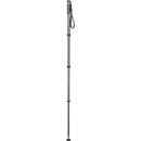 Gitzo GM2542