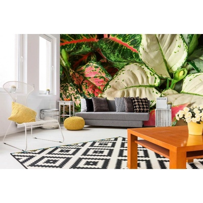 Dimex MA-5-1282 Samolepicí vliesová fototapeta na zeď Aglaonema rozměry 375 x 250 cm