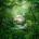 Weezer - Sznz: Spring (Indie) (Glow In The Dark) (LP) (0075678635120)