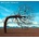 Opposites - Biffy Clyro CD