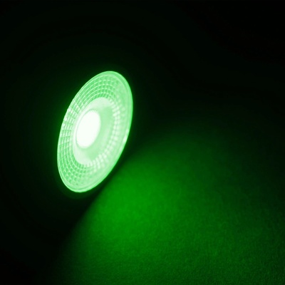 T-LED 022411