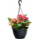 Nohel Garden kvetináč závěsný Ratolla Round W plastový 24x16cm