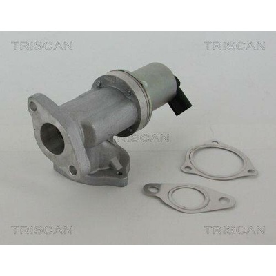 AGR-Ventil TRISCAN 8813 43002 (881343002)