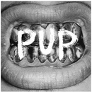 PUP: PUP LP