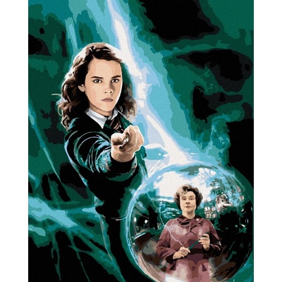 Zuty Malování Podle Čísel Plakát Harry Potter A Féni x ův Řád Hermiona 40 x 50 Cm Plátno Rám 8596530244691