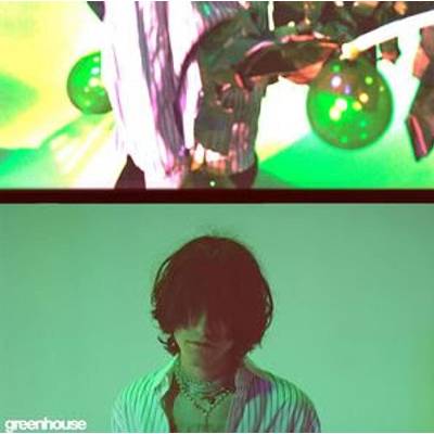 Aldn - Greenhouse (Green Coloured) (LP) (4526180751632)