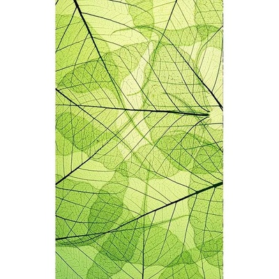 Dimex MS-2-0111 vliesová fototapeta rozměry 150 x 250 cm
