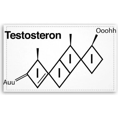 Fotoobraz 120x70 cm velký Testosteron