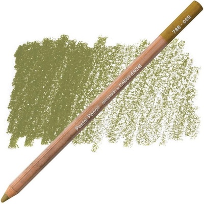 Caran D´Ache umělecký pastel v tužce suchý 788.039 olive brown