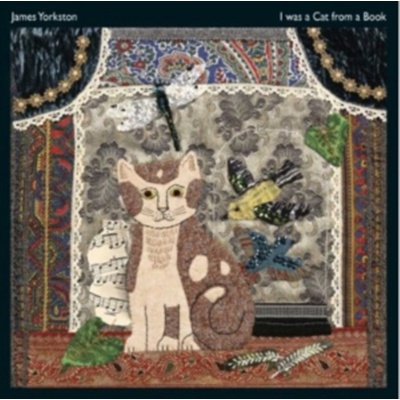 I Was a Cat from a Book James Yorkston LP