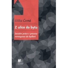 Z ulice do bytu Sociální práce v procesu reintegrace do bydlení