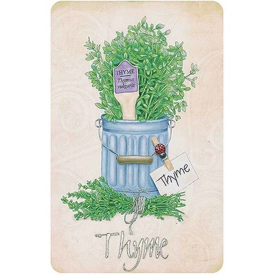 Ceduľa Thyme - tymian záhrada