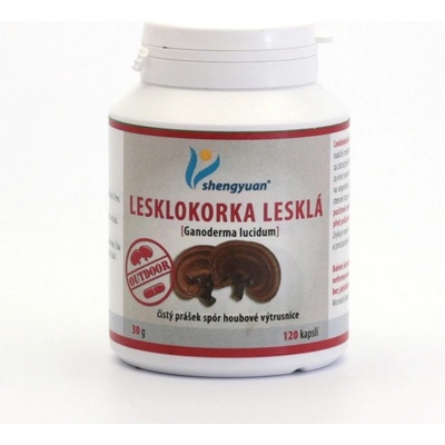 Institut Handan Lesklokorka lesklá 30 g 120 kapslí – Hledejceny.cz