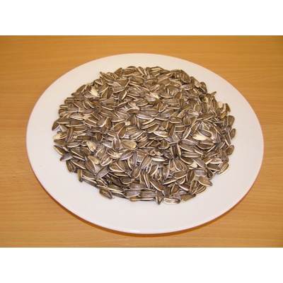 LLC West-Dale Slunečnice žíhaná velká 5 kg
