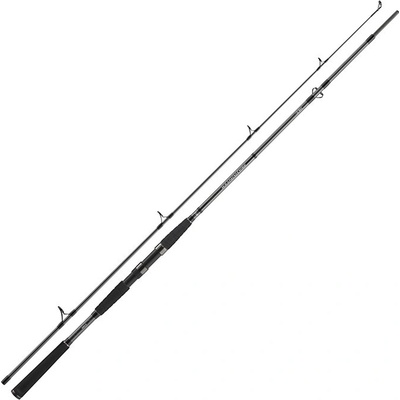 Daiwa SEAHUNTER X PILK COD 2,4 m 100-200 g 2 díly