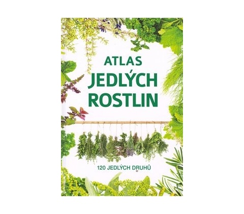 Atlas bylin