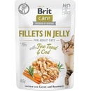 Brit Care Cat Trout & Cod in Jelly 85 g