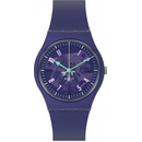 Swatch SO28V102