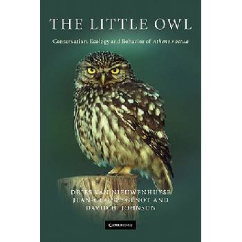 Little Owl | Dries Van Nieuwenhuyse