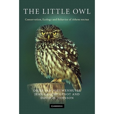 Little Owl | Dries Van Nieuwenhuyse