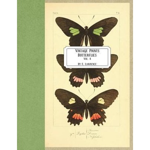 Vintage Prints: Butterflies: Vol. 4 | E. Lawrence (ISBN: 9781721569168)