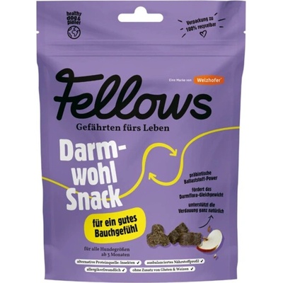 Fellows Darmwohl hmyzí pamlsky na dobré trávení 125 g