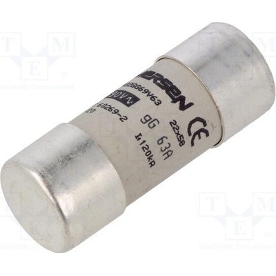 MERSEN FR22GG69V63 Pojistka: tavná; 22x58mm; keramická,kulatý,průmyslová; 63A; gG