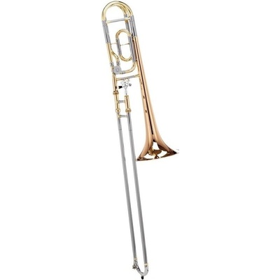 Carol Brass CTB-6219-GSS-YNNN-N3