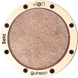 Sela Guinean Ion Cajon Íon (SE-ION5)